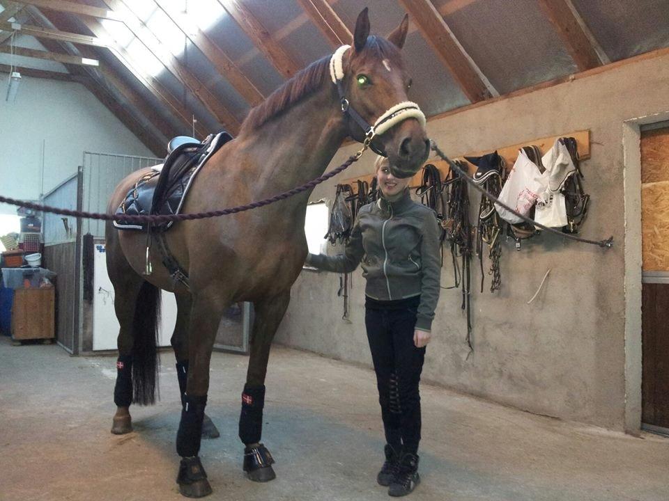 Holstener Calitas - Tak fordi I kiggede forbi, læg en kommentar :D  billede 12