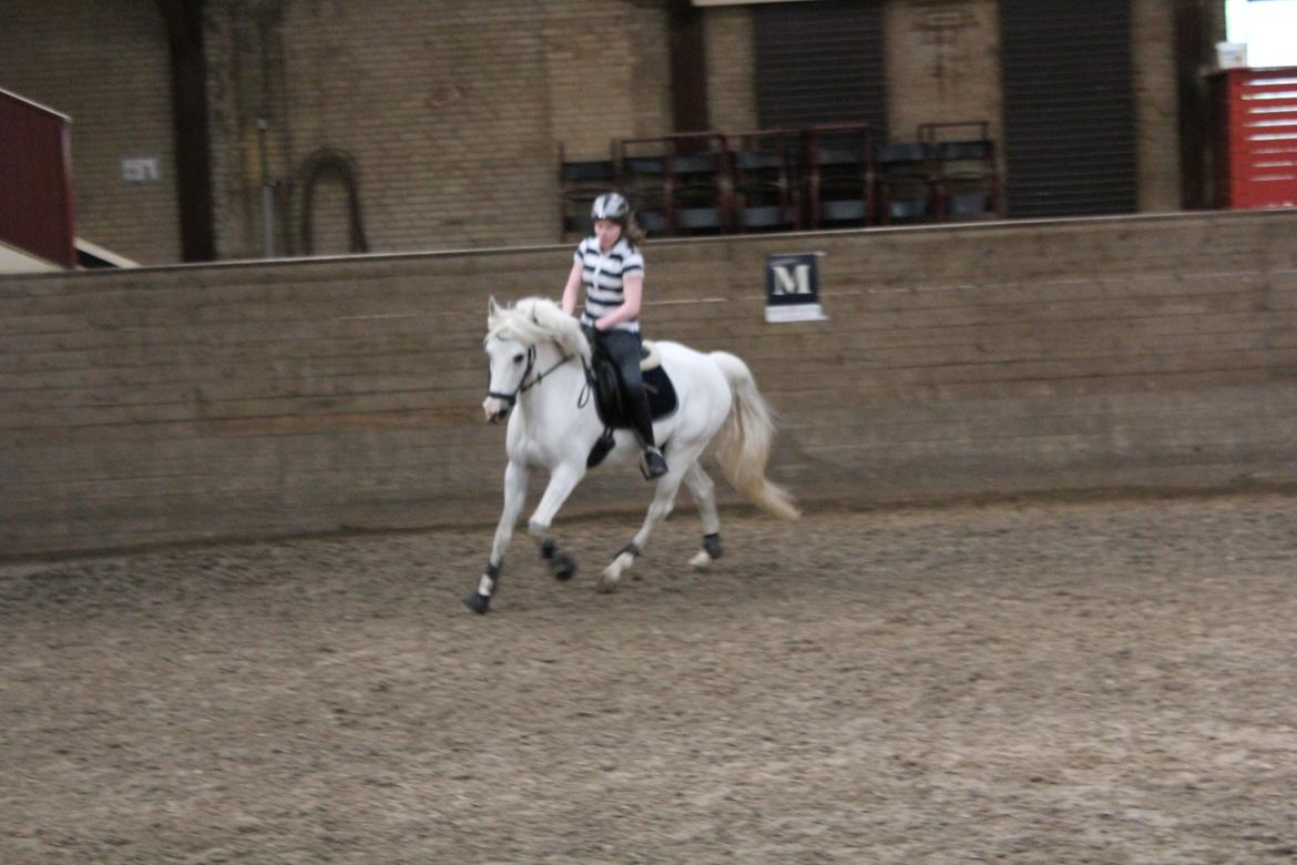 Anden særlig race Milky Way billede 17