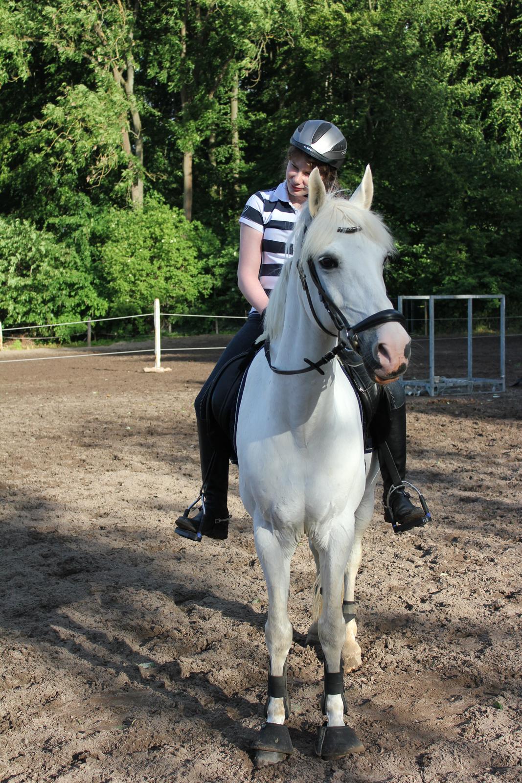 Anden særlig race Milky Way billede 15
