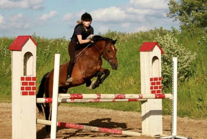 New Forest Brinkhofs Phantom (tidl. springpart) - Velkommen til DJ's profil! Læg gerne en kommentar og bedømmelse! billede 2