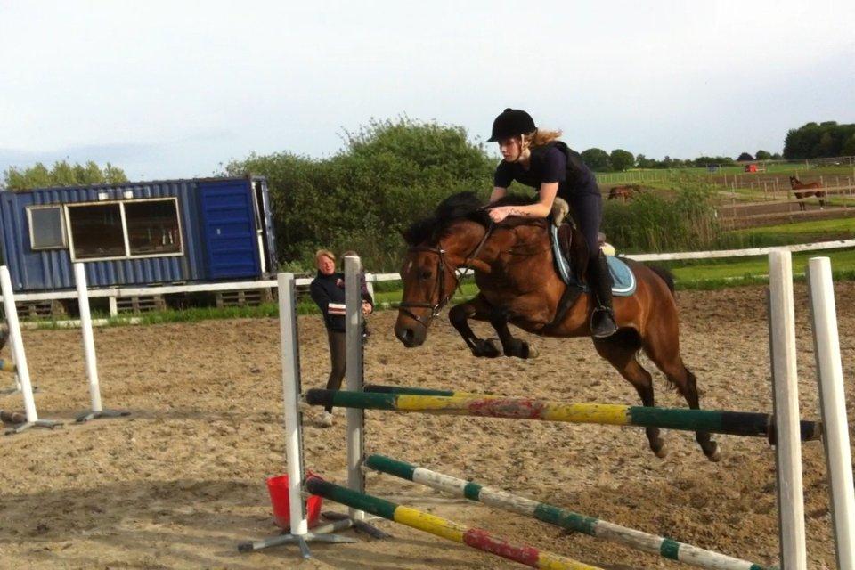 New Forest Brinkhofs Phantom (tidl. springpart) - Jaaa genbruger lige et billede bare fordi... billede 20