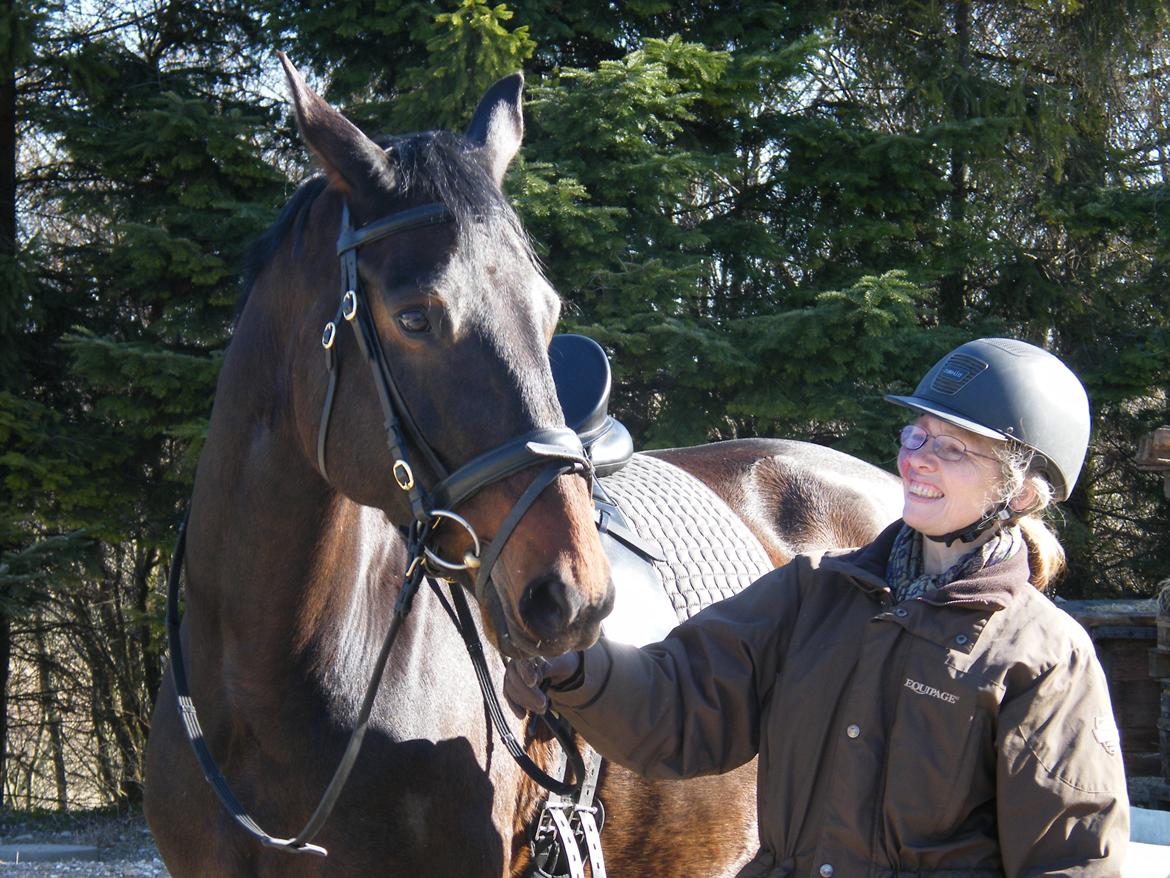 Dansk Varmblod Beauty - Smuksakken klar til at arbejde billede 5