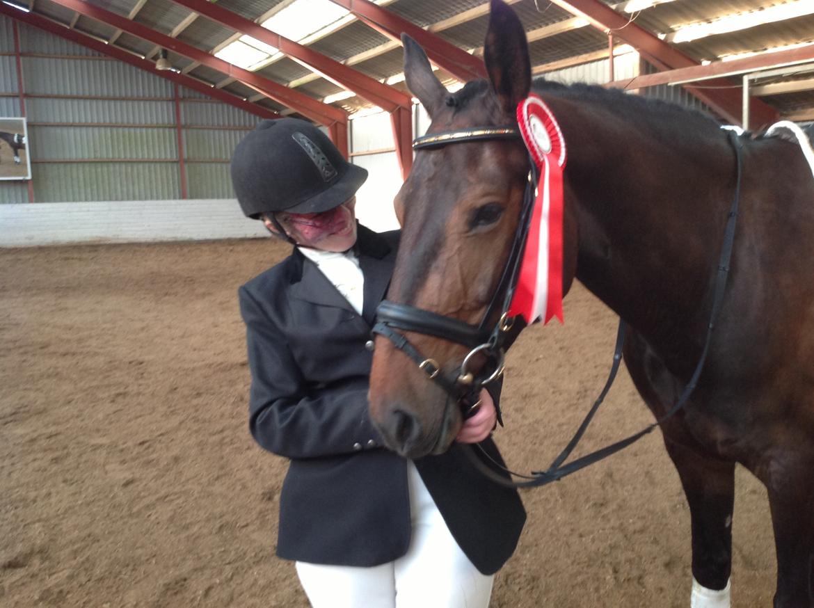 Dansk Varmblod Beauty - 1. stævne Hurra for de røde rossetter billede 7