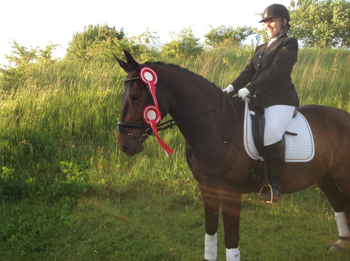 Dansk Varmblod Beauty - 1. stævne og 2 af de røde fantastiske hest billede 1