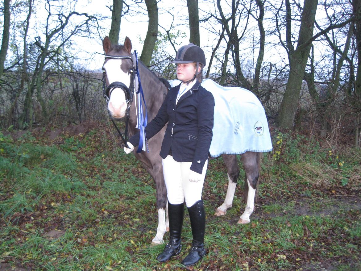 Welsh Pony (sec B) F.H. Bjerregårds Wonder - et billede siger mere end tusinde ord!<3 billede 19