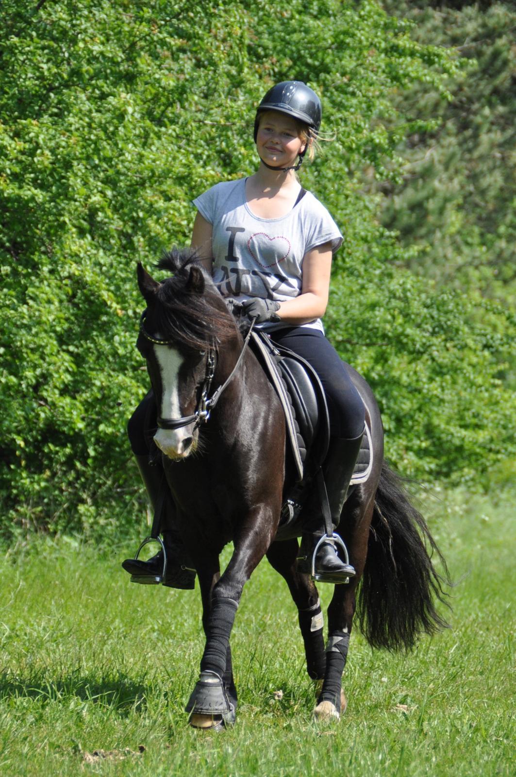 Anden særlig race Blue Eye´D Girl - A pony SOLGT! - 18. hygge efter undervisning Foto Annika Løvmose Holm<3 billede 18