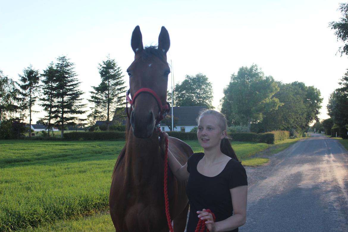 Traver Swept To Klindtholm - 6 gang Sweppi er på Tur :D  billede 9