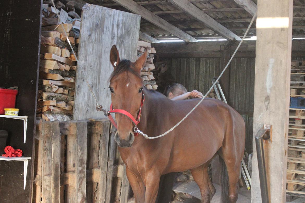 Traver Swept To Klindtholm - Jah hun nyder en gang massage <3  billede 18