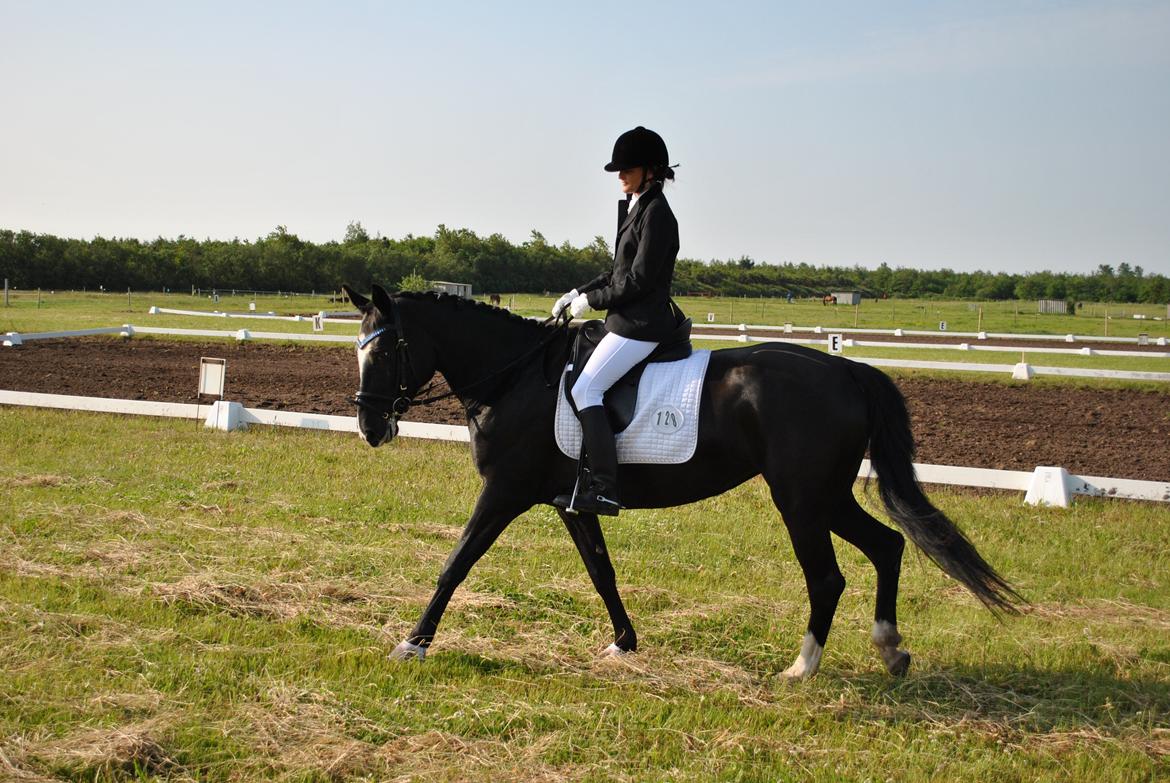 Anden særlig race Beauty "BÆSTET"  <3 billede 17