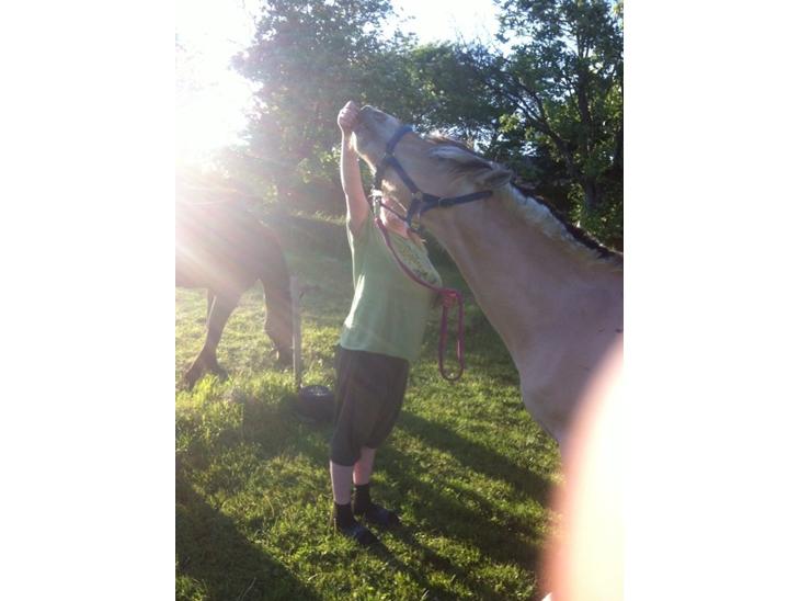 {{currentPhoto.altText}} billede {{currentPhoto.number}}