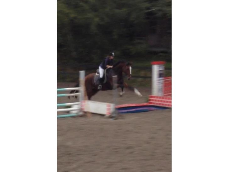 {{currentPhoto.altText}} billede {{currentPhoto.number}}