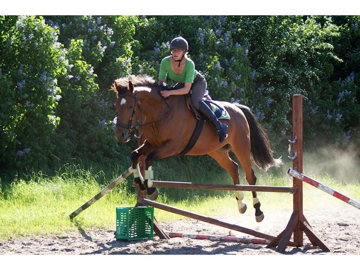 {{currentPhoto.altText}} billede {{currentPhoto.number}}