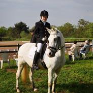 Anden særlig race Samson