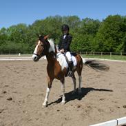 Pinto Jasmin (Min part)