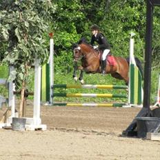 Anden særlig race Kadanza´s King