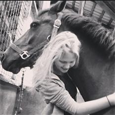 DSP Snorgaardens Monty