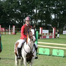 Irsk Sportspony Coney Patch