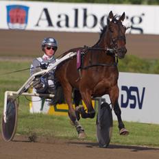 Traver Dream Turbo - HVIL I FRED!