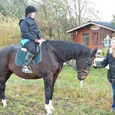 Holstener LIKA AF KONGEÅDAL