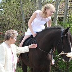 Irish Cob Grymyrs Riona av Totentinkers.