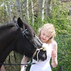 Irish Cob Grymyrs Riona av Totentinkers.