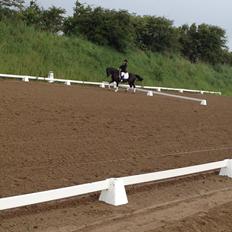 Anden særlig race Frida