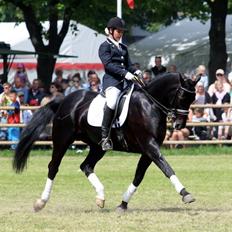 Oldenborg Evita af Hvarre