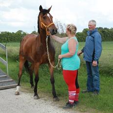 Anden særlig race Mathilde?