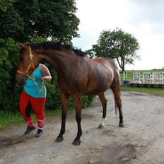 Anden særlig race Mathilde?