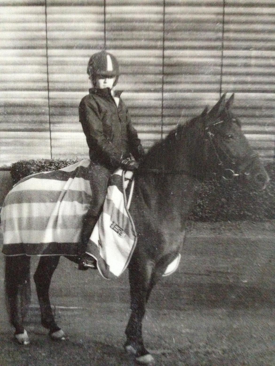 Anden særlig race Rosa - Et billed der blev taget på ridelejr billede 3