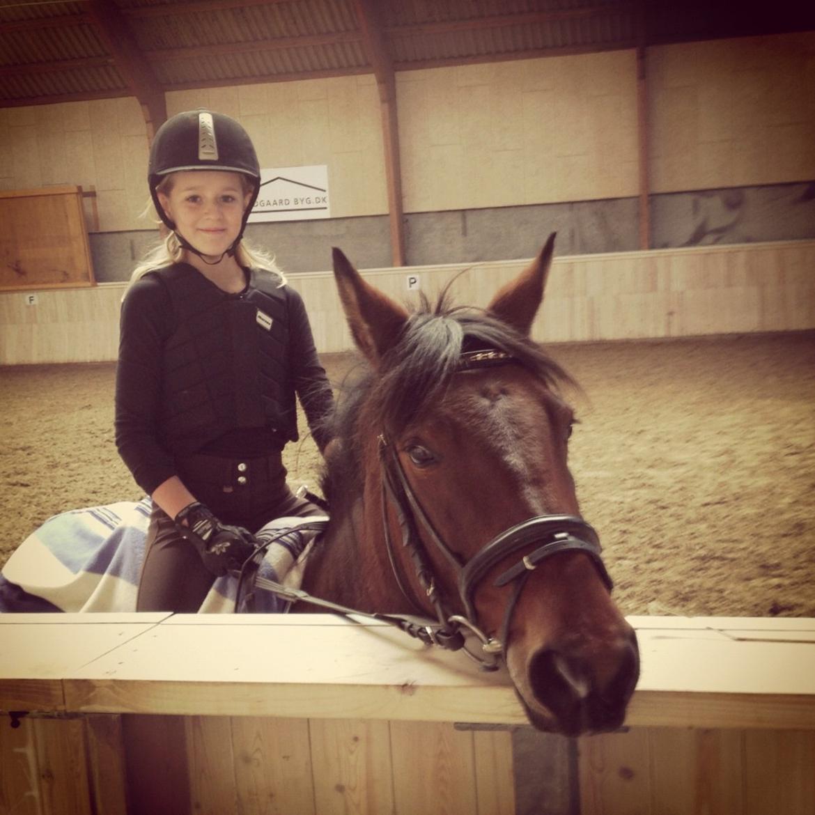 Anden særlig race Rosa - Hver gang jeg stopper ved barrieren gør hun det. billede 4