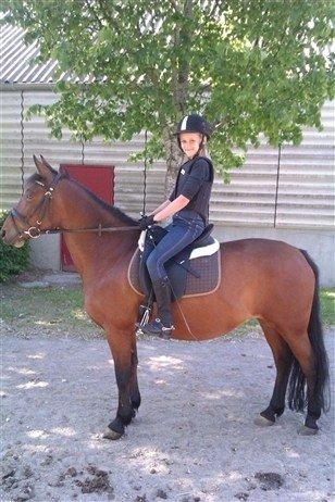 Anden særlig race Rosa - Et billed vi sendte ind i ridehesten junior (bladet) for at være med i konkurrencen om at vinde en uges ridelejr på midtjysk ridecenter. og jeg var så heldig at vinde:D billede 5