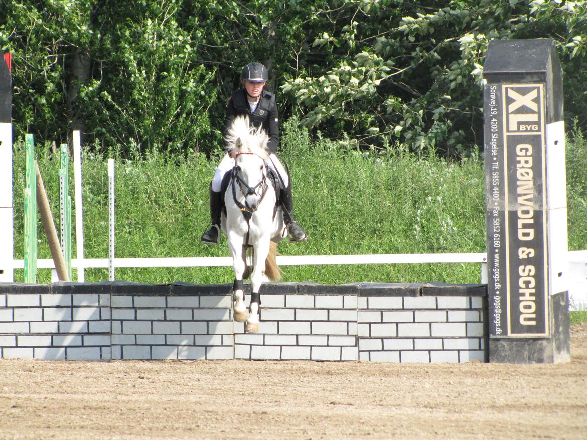 Welsh Pony (sec B) Lyngvejens Eliza - Mur til SLRK C-stævne den 15. Juni 2013 billede 15