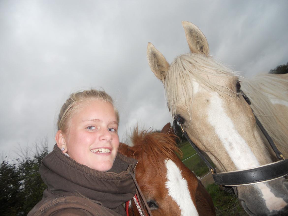 Anden særlig race Blondie billede 7