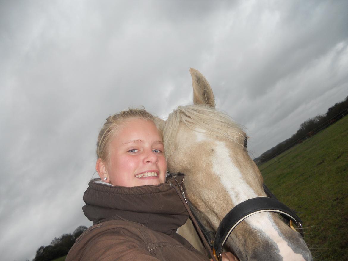 Anden særlig race Blondie billede 9