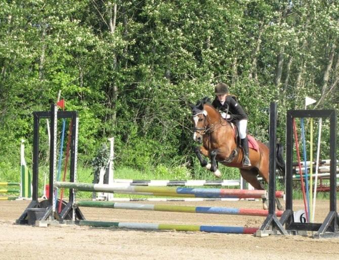 Anden særlig race Kadanza´s King billede 6