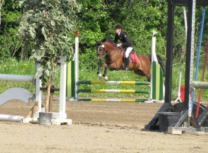 Anden særlig race Kadanza´s King - Første springstævne på udebane:D billede 1
