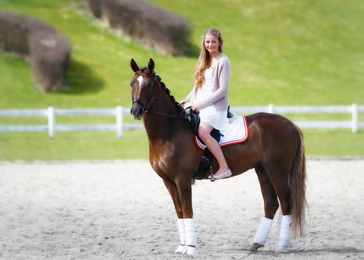 New Forest Jægersmindes Mel Gibson B-pony - Konfirmation 2013 billede 10