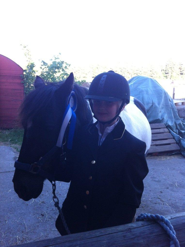 Anden særlig race Magnus <3 billede 8