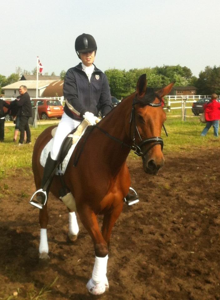 Anden særlig race Madeira - Første stævne med hende! :D 16/6-2013 :) billede 1