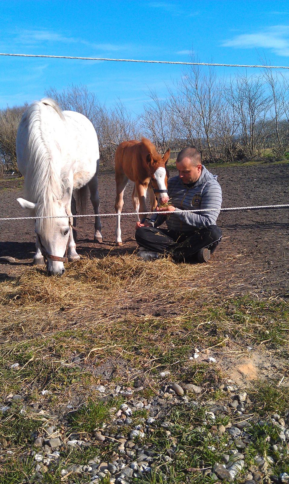 DSP Zippo on fire - Tillid betyder alt billede 4