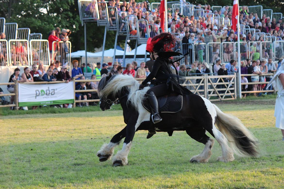 Tinker Tinker - Tarquin [Mors] - Roskilde Dyrskue 2013 - min seje lille kø! billede 6