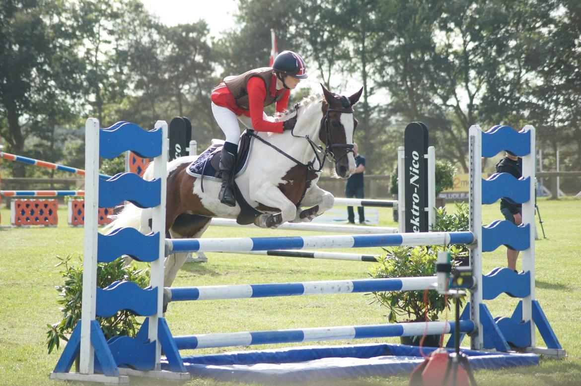Irsk Sportspony Coney Patch - Sofie og Coney til Danmarks Cuppen 2012 billede 2