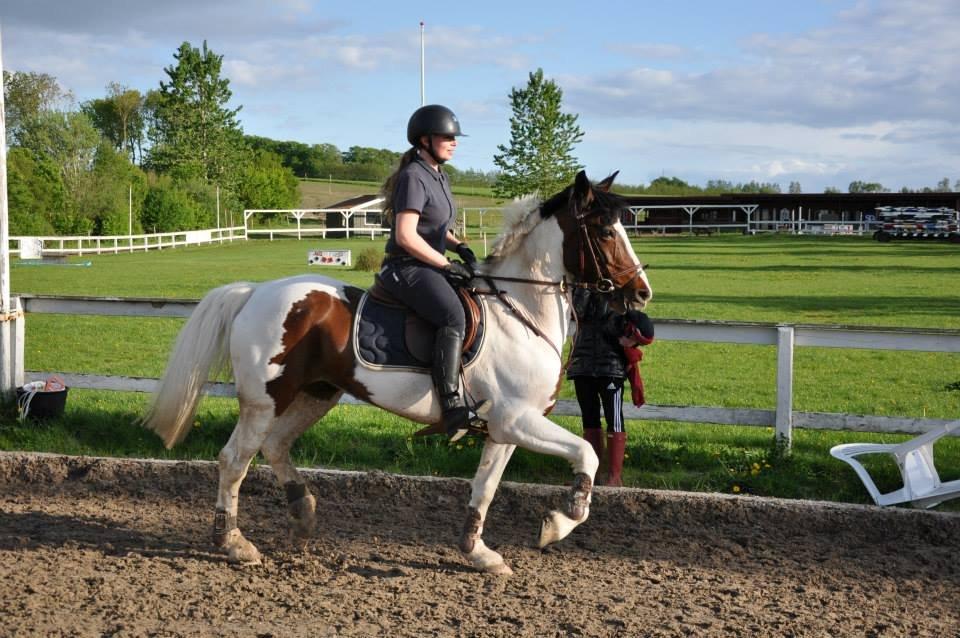 Irsk Sportspony Coney Patch - Dressur på Coney på min fødselsdag:) billede 14