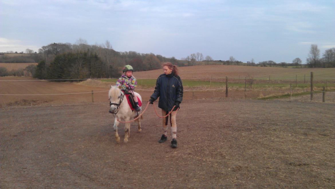 Anden særlig race Bonanza billede 12