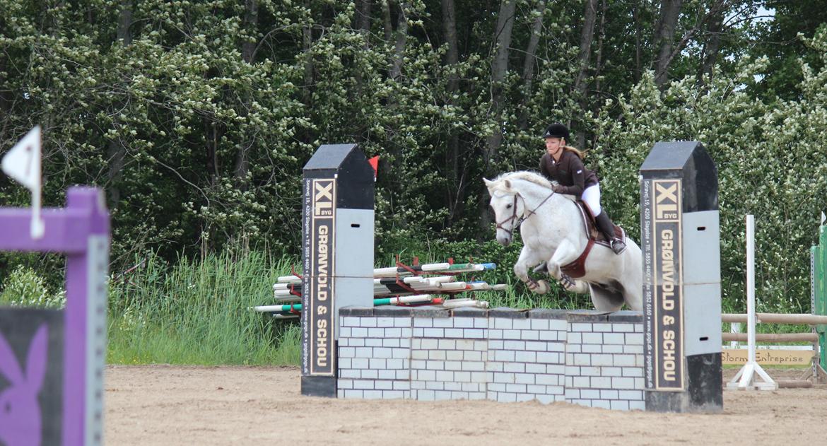 Connemara Kalle  - LB** Distriksmesterskab for hold - SLRK. Red for VIRK (D4) billede 6