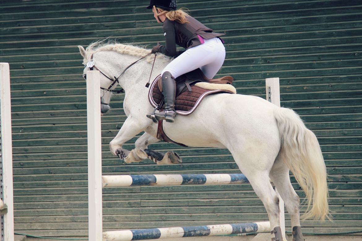 Connemara Kalle  - Opvarming - SLRK billede 7