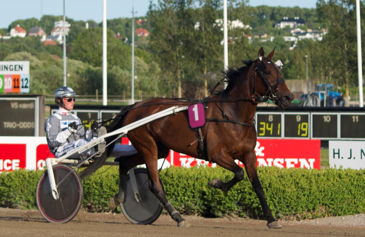 Traver Dream Turbo - HVIL I FRED! - Dream's første løb, hvor hun blev kørt til en flot 3 plads af Mads Hviid  :-) den 3 juni 2013
- NKI Racing Arena Aalborg billede 3