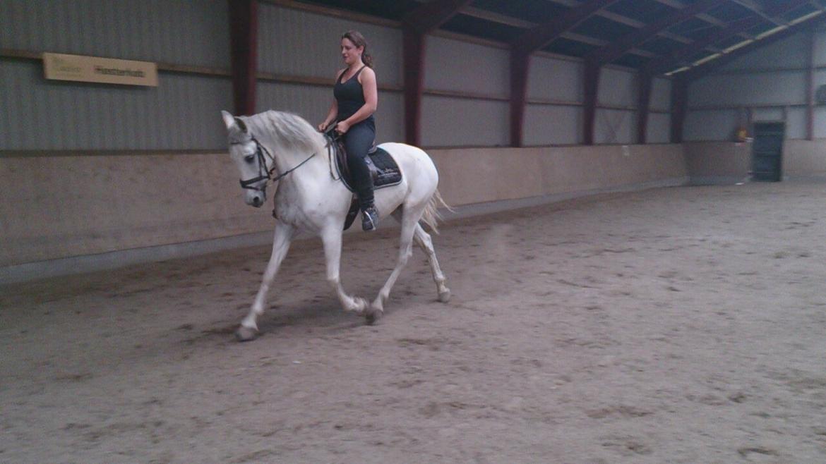 Anden særlig race Raya billede 4