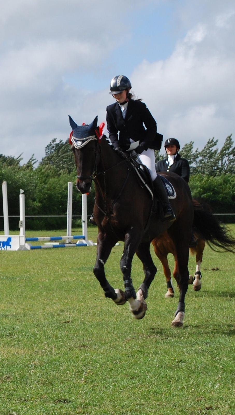 Dansk Varmblod Lerini A **RDS** - KLUBMESTER 2013 billede 1